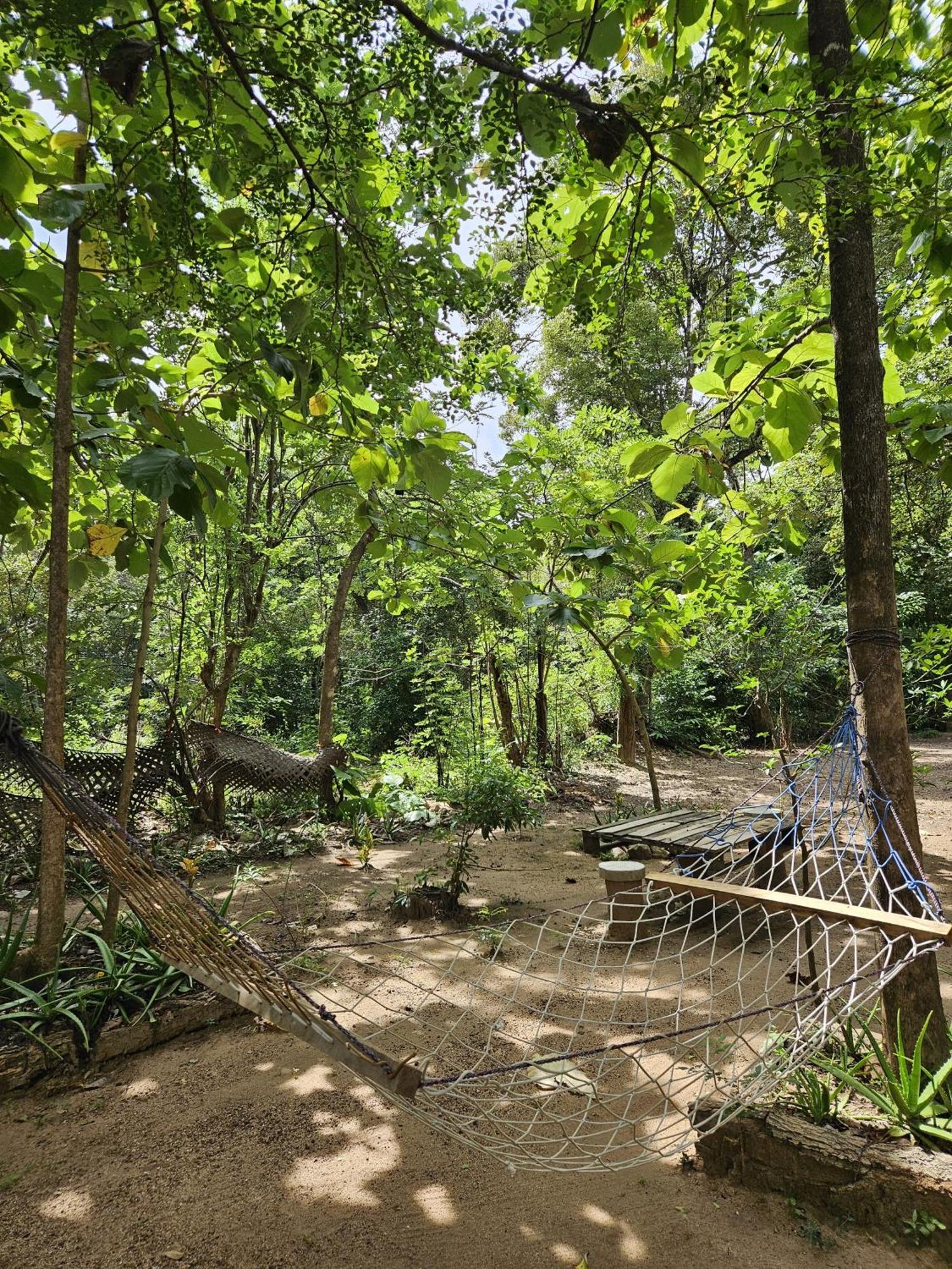 Sigiri Birds Hostel Sigiriya Exterior photo